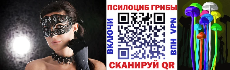 Псилоцибиновые грибы Magic Shrooms blacksprut ссылка Черногорск